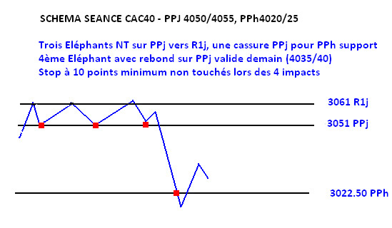 schema elephant nt ppj pph